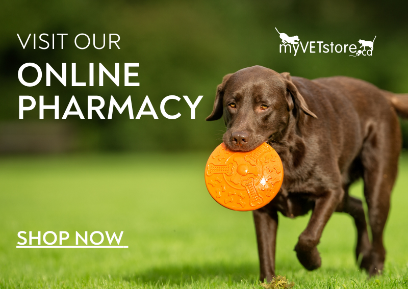 Carousel Slide 1: Shop Our Online Pharmacy>